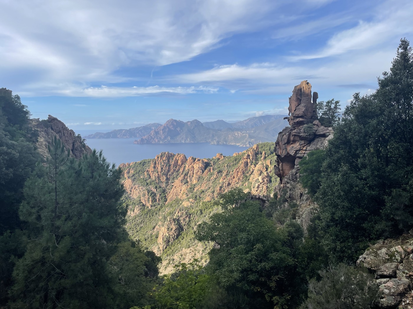 Le golfe de Porto vu depuis les Calanques