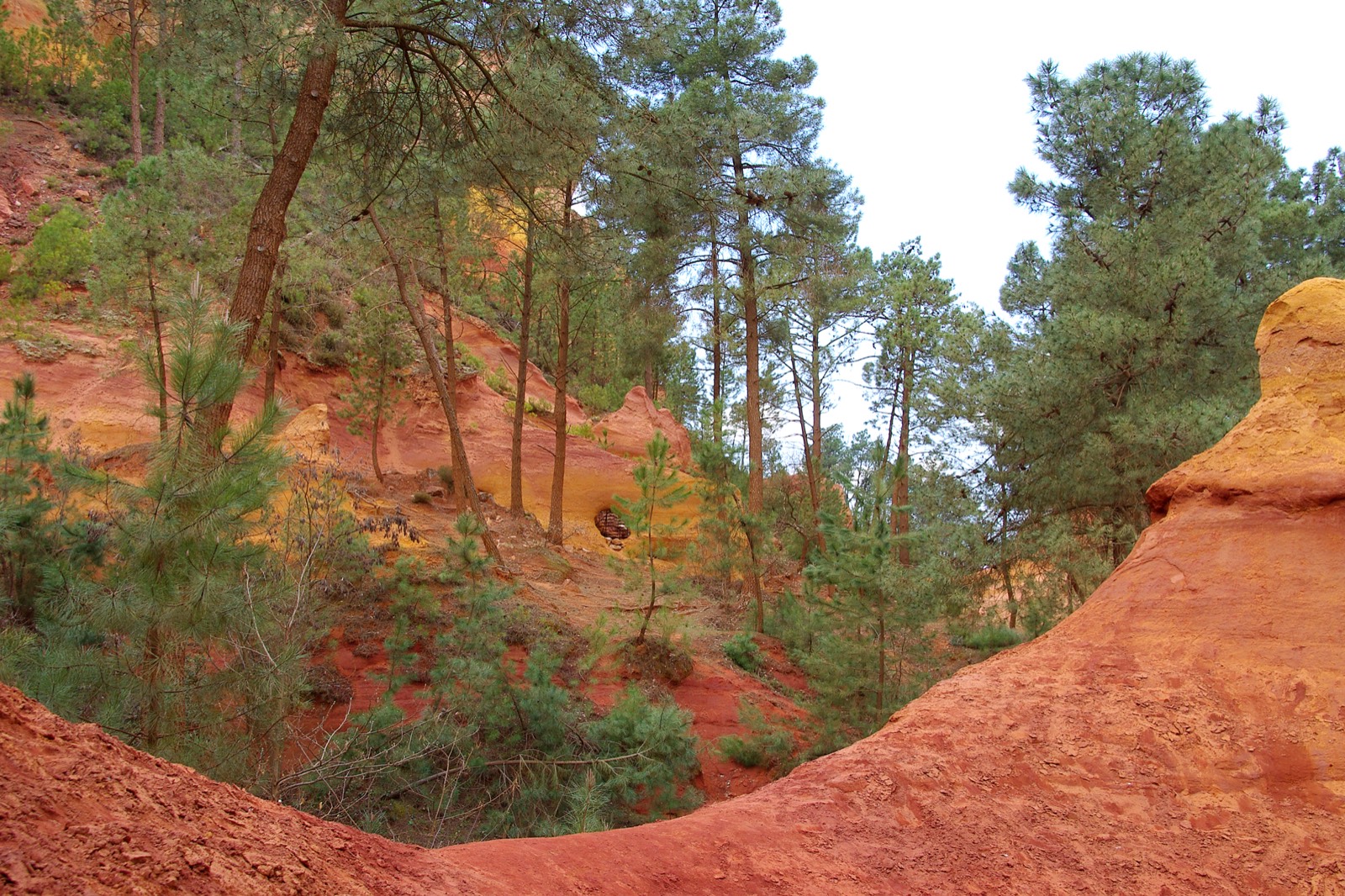 Ocres du Colorado provençal à Roussillon